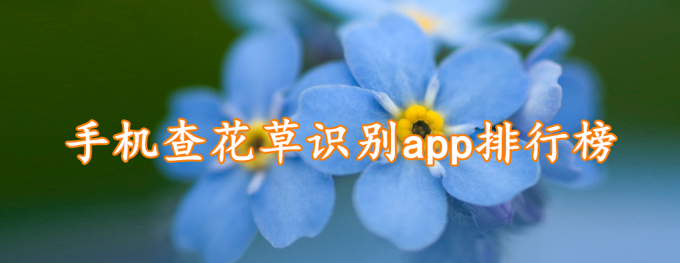 手机查花草识别app排行榜