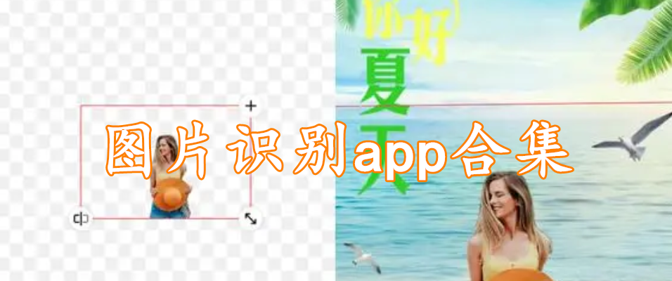 图片识别app合集