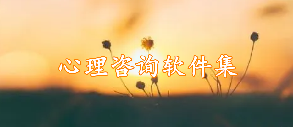 心理咨询软件集