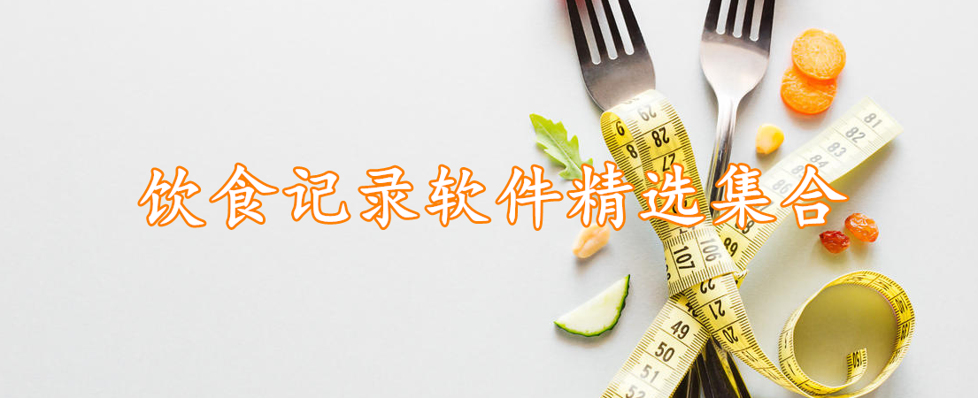 饮食记录软件精选集合