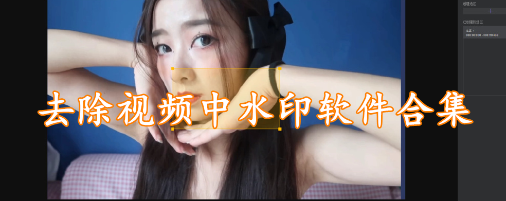 去除视频中水印软件合集