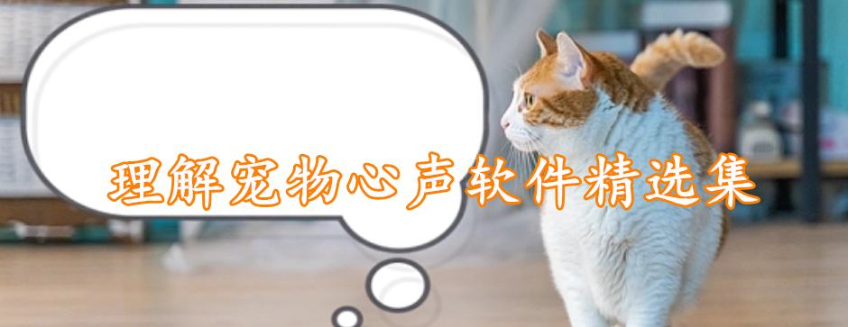 理解宠物心声软件精选集