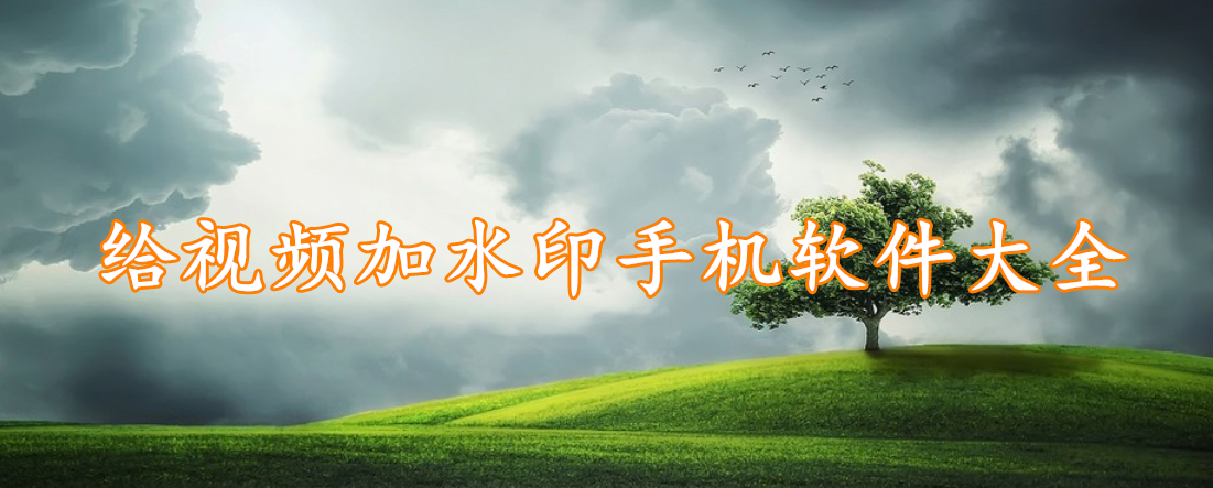 给视频加水印手机软件大全