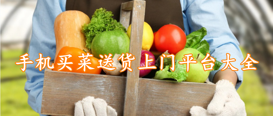 手机买菜送货上门平台大全