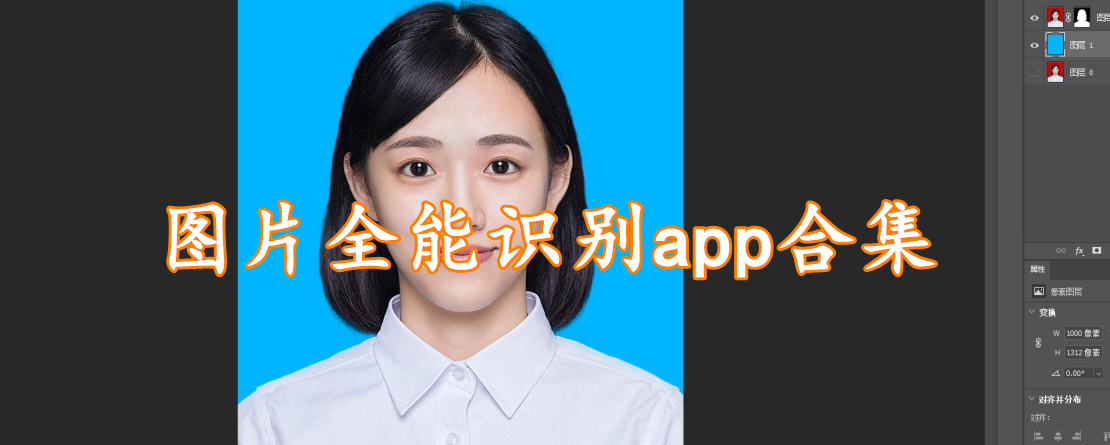 图片全能识别app合集